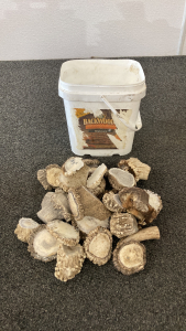 Small Antler Pieces