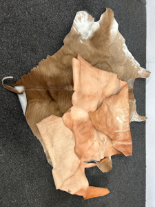 Animal Hide and Piece of Leather Please Inspect