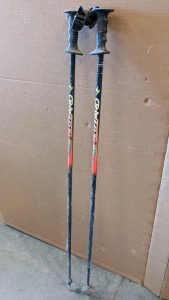 49" Ski Poles