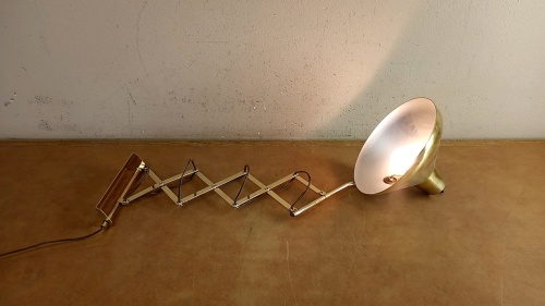 Adjustable Mountable Brass-Toned Lamp