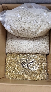 <EB> Brass Pins with Plastic Button Caps