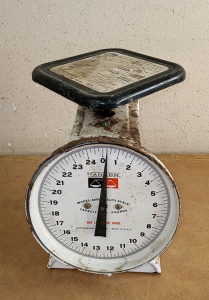 Vintage Hanson Food Scale