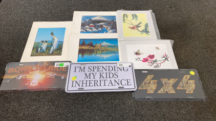Iridescent Pictures, License Plates And More