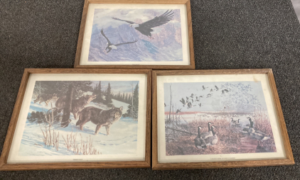 Print Art Works Off Timber Wolf,Canada Geese, Bald Eagle 15&rdquo;X12&rdquo; Please Inspect
