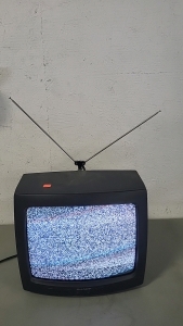 Working Sharp 14" Box TV