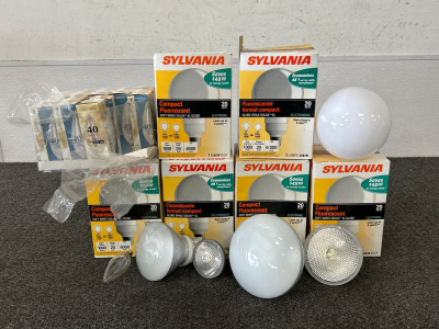 Compact Fluorescent Bulbs, Torpedo Bulbs and More Please Inspect