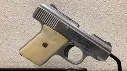 Raven MP-25 .25 Auto Pistol—1782496