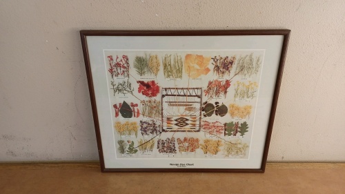 "Navajo Dye Chart" by Ella Myers Framed Art