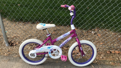 16&rdquo; Huffy Seastar