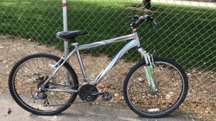 26&rdquo; Schwinn Aluminum Comp