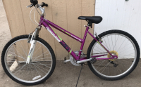 26&rdquo; Roadmaster Granite Peaks