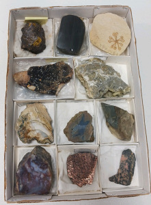 (11) Piece Rocks, Fossil And Minerals Including Floating Crinoid