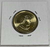 Alaska/Klondike Natural Gold Nuggets (1) 125th Anniversary Klondike Gold Rush Coin (Brilliant Uncirculated) - 4