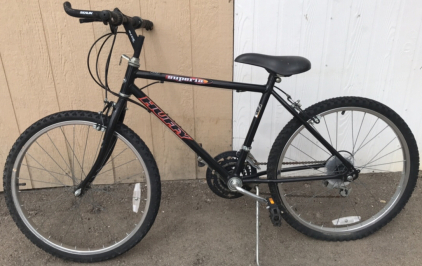 24” Huffy Superia