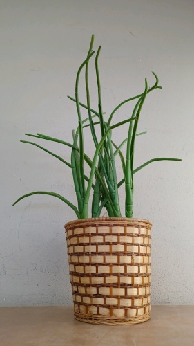 24" H Artificial Plant Decor