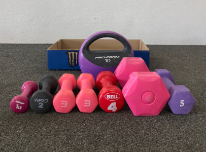 Small Hand Weights// Workout Weights