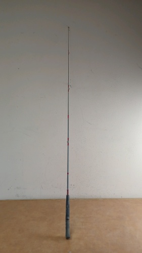 Ryobi Fishing Pole