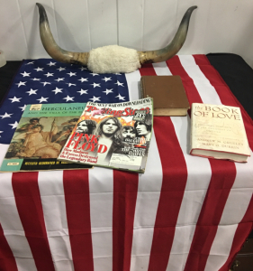 Flag And American Bill Horns