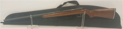Remington Model 514, .22lr Bolt Action Rifle
