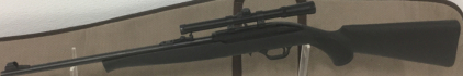 Mossberg 702 Plinkster, .22LR Semi Automatic Rifle