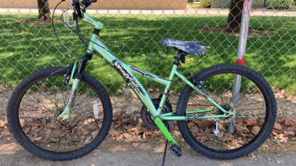 24” Avigo Revolution (Green/Black)