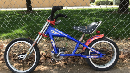 16” Schwinn StingRay (Blue/Red)