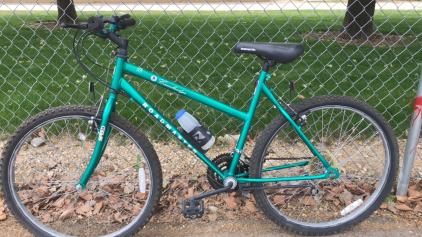 26” Roadmaster Cambridge (Green)