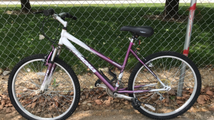 26” Magna Silver Canyon (Purple/White)