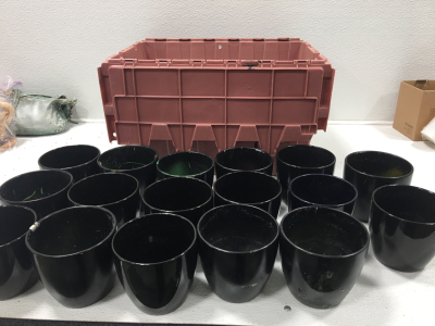 (17)Planting Pots In Plastic Tub