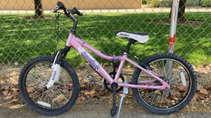 20” Diamondback Octane (Pink)