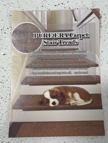 PURE ERA* Carpet Stair Treads, And More! [J]