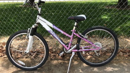 24” Scwinn Ranger 2.4 (Purple/White)