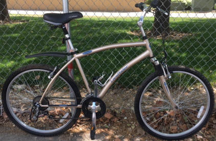 26” LandRider Bicycle (Bronze)