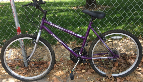 24” Dynacraft Northern Ridge Bicycle (Purple)