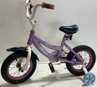 Princess Bicycle w/ Training Wheels