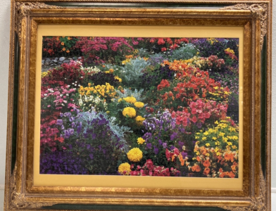 Framed Flower Puzzle