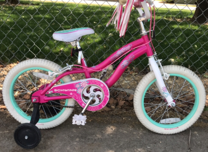 16” Schwinn Charm Bicycle (Pink)