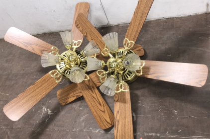 (2) Ceiling Fan Light Fixtures
