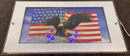 Patriotic Bald Eagle Light Up Wall Art