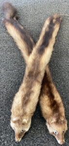 (2) Mink Fur Pelts