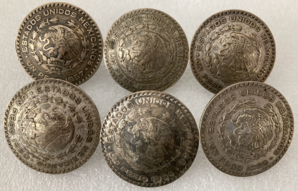 (6) Silver Pesos Conchos