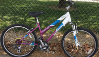 24” Schwinn Sidewinder (Purple/White/Blue)