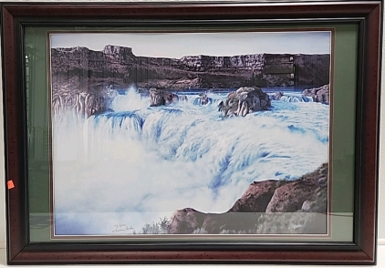 Framed Waterfall Print