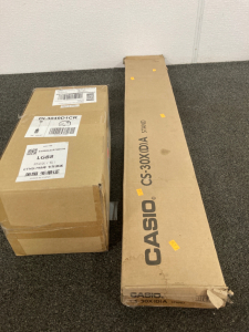 Casio Stand &Ceiling Light