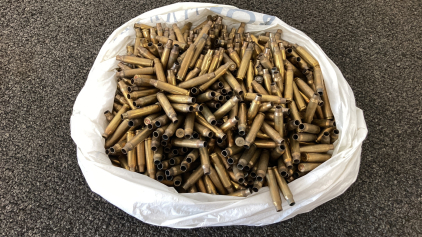 Bag Of .223 Spent/Unprimed Shellcases