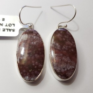 Silver Gemstone(26.1ct) Earrings