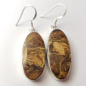 Silver Gemstone(25.1ct) Earrings