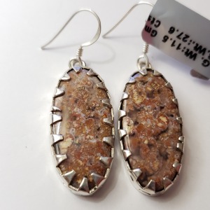 Silver Gemstone(27.6ct) Earrings