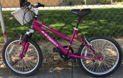 20” Kent Terra w/Basket Bike (Pink)