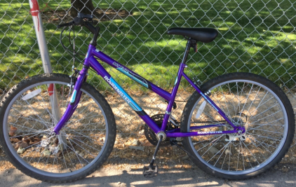 26” Roadmaster Mt Fury (Purple)